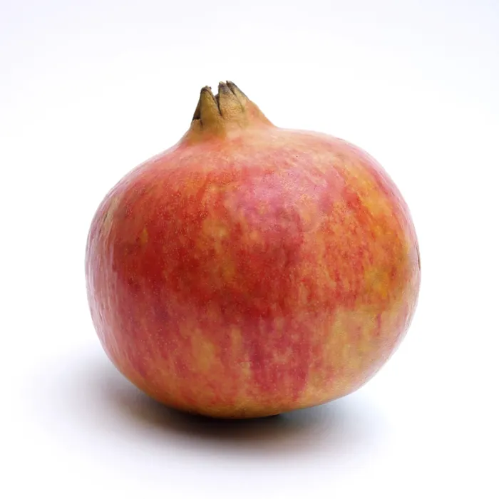 Framed Print : Pomegranate Print on White Background Framed Print : Pomegranate Print on White Background