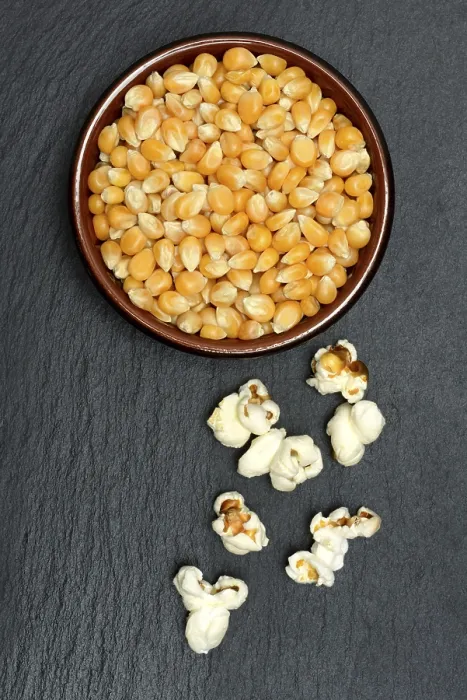 Framed Print : Popcorn and Maize Kernels Print Framed Print : Popcorn and Maize Kernels Print