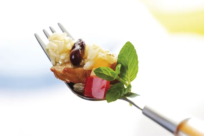 Framed Print : Pork and Rice on Fork Print Framed Print : Pork and Rice on Fork Print