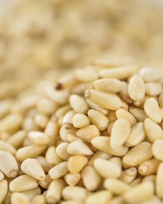 Framed Print : Fresh Pine Nuts Print (Close-up) Framed Print : Fresh Pine Nuts Print (Close-up)
