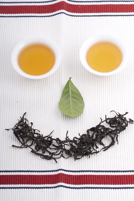 Framed Print : Portrait of Tea Print by imageBROKER Framed Print : Portrait of Tea Print by imageBROKER