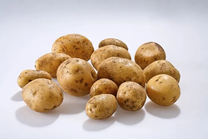 Framed Print : Potatoes Print by imageBROKER Framed Print : Potatoes Print by imageBROKER