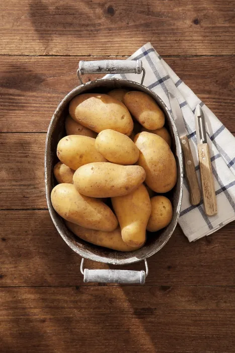 Framed Print : Potatoes Print by ImageBROKER Framed Print : Potatoes Print by ImageBROKER