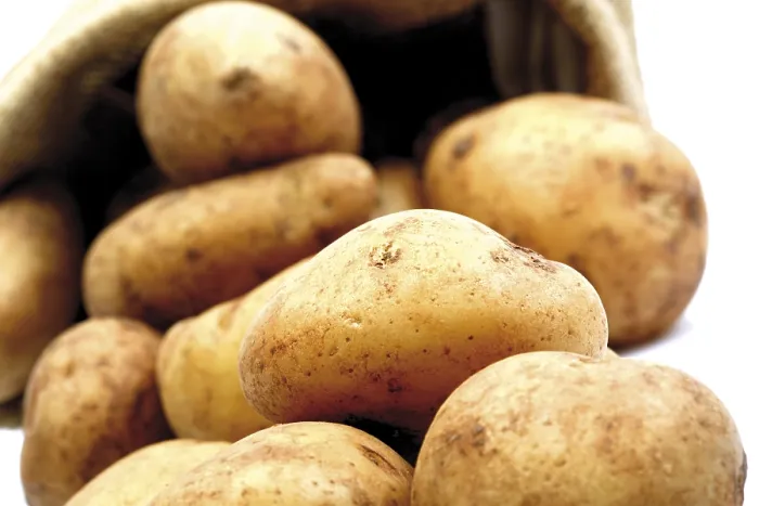 Framed Print : Filea Breed Potatoes Print Framed Print : Filea Breed Potatoes Print
