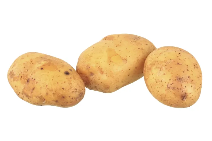 Framed Print : Sieglinde Variety Potatoes Print Framed Print : Sieglinde Variety Potatoes Print