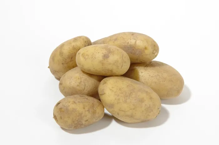 Framed Print : Potatoes Potatoes Print by Paul Klee Framed Print : Potatoes Potatoes Print by Paul Klee