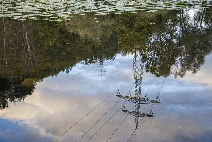 Framed Print : Power Line Pole Reflected in Pond Print, Silbersee, Austria Framed Print : Power Line Pole Reflected in Pond Print, Silbersee, Austria