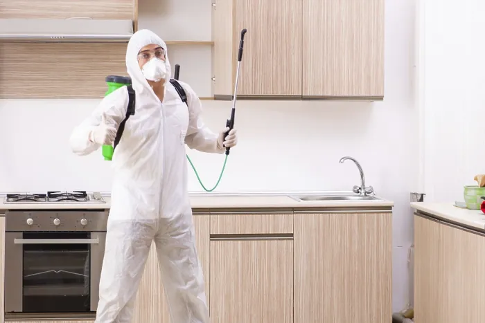 Framed Print : Kitchen Pest Control Service Print Framed Print : Kitchen Pest Control Service Print