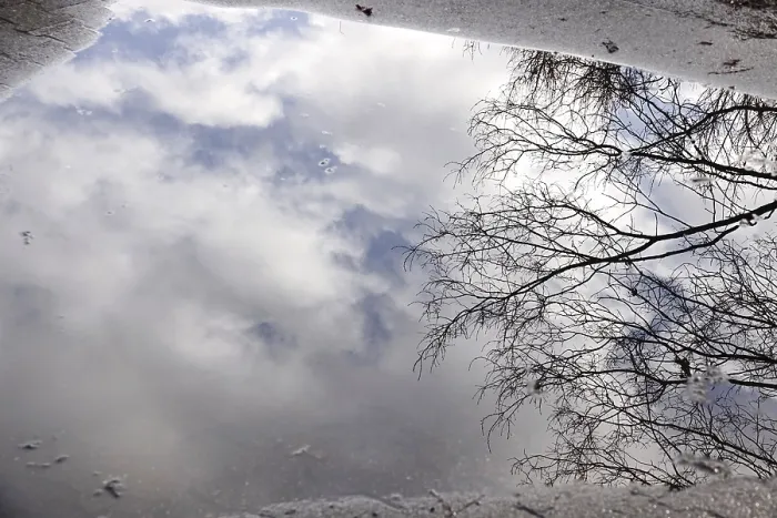 Framed Print : Winter Puddle Reflection Print, Germany