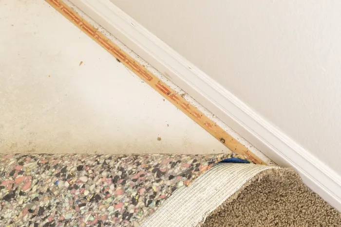 Framed Print : Pulled Back Carpet and Padding Print Framed Print : Pulled Back Carpet and Padding Print