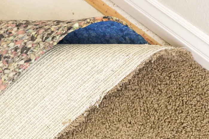 Framed Print : Pulled Back Carpet and Underlay Print Framed Print : Pulled Back Carpet and Underlay Print