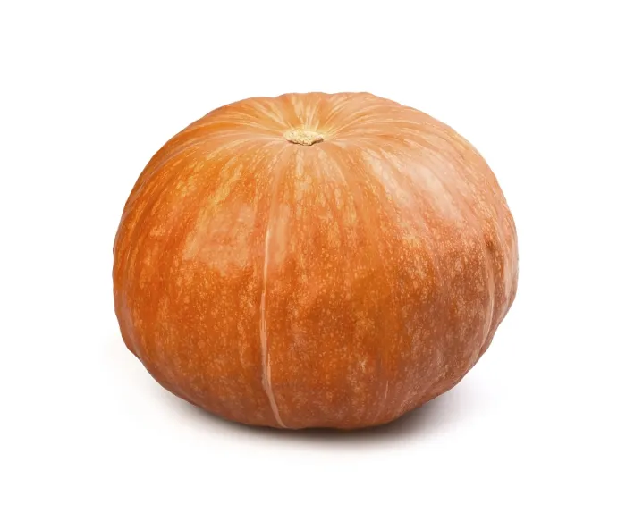 Framed Print : Pumpkin Print on White Background Framed Print : Pumpkin Print on White Background