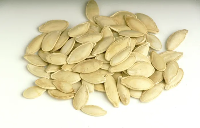 Framed Print : Pumpkin Seeds Print Framed Print : Pumpkin Seeds Print