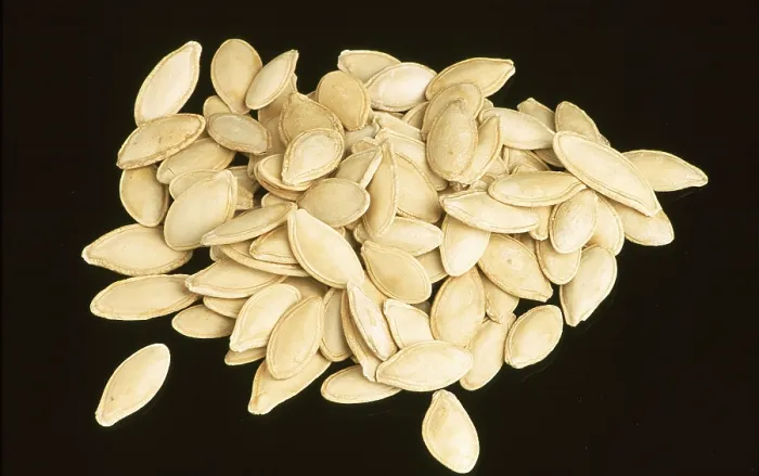 Framed Print : Pumpkin Seeds Print Framed Print : Pumpkin Seeds Print
