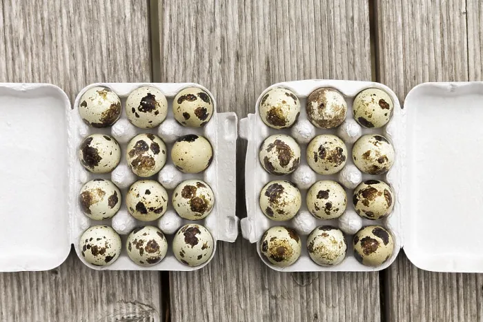 Framed Print : Quail Eggs, Two Dozen in a Box Print Framed Print : Quail Eggs, Two Dozen in a Box Print