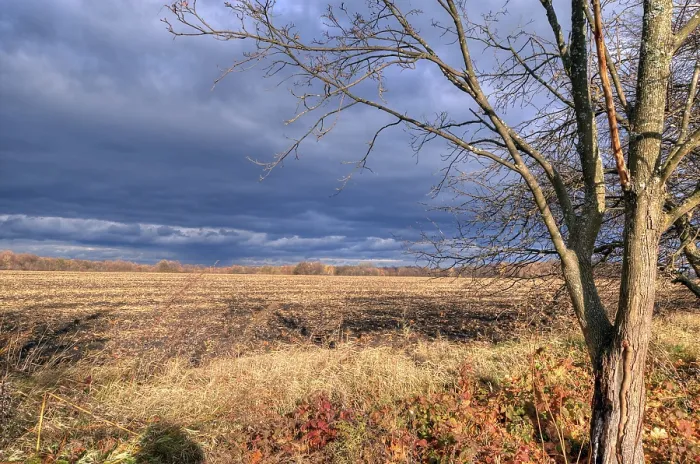 Framed Print : Print: Dynamic Skies and Autumn Landscape Framed Print : Print: Dynamic Skies and Autumn Landscape