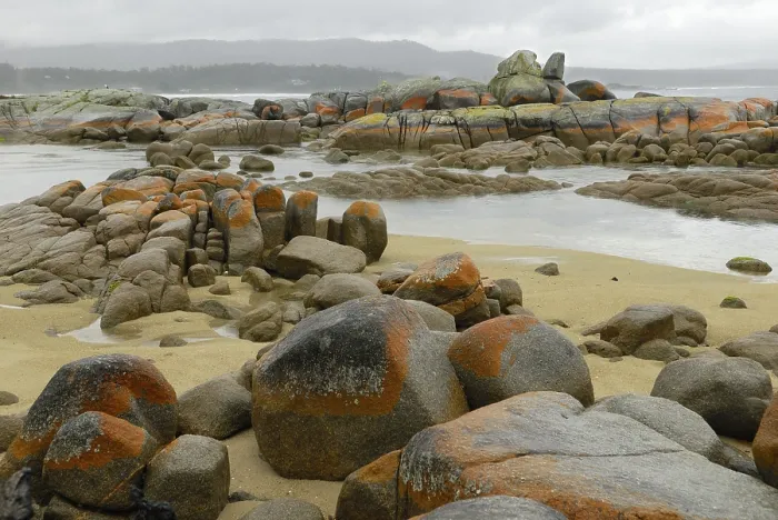 Framed Print : Rainfall over Bay of Fires Print, Tasmania, Australia Framed Print : Rainfall over Bay of Fires Print, Tasmania, Australia