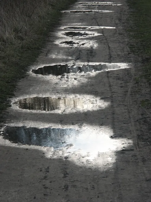 Framed Print : Rain Puddles Print Framed Print : Rain Puddles Print