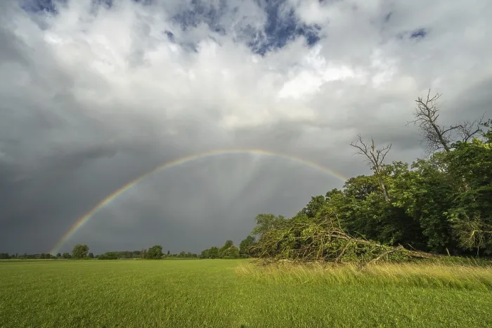 Framed Print : Rainbow Over Storm-Damaged Countryside Print Framed Print : Rainbow Over Storm-Damaged Countryside Print
