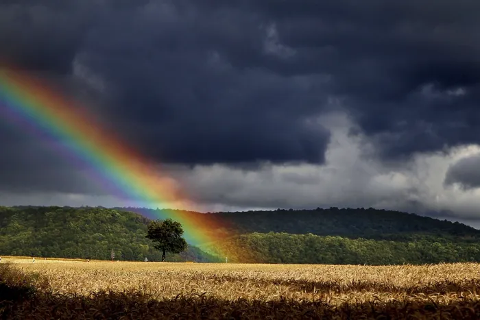 Framed Print : Rainbow over field in the Werratal - Print Framed Print : Rainbow over field in the Werratal - Print