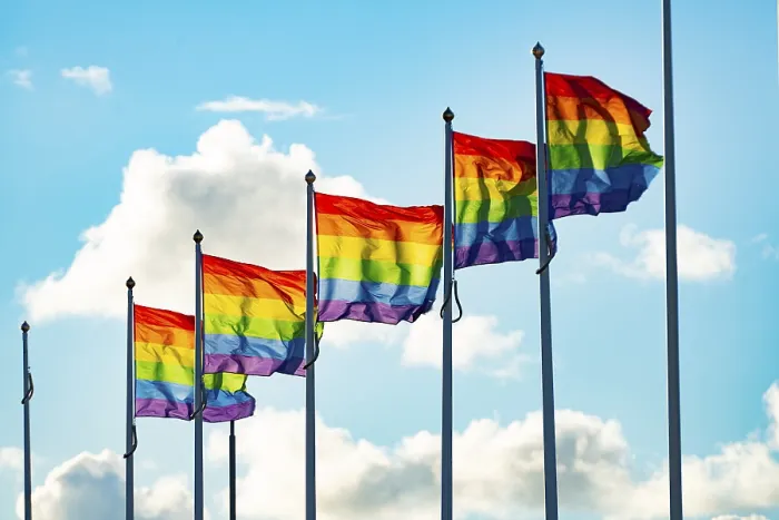 Framed Print : Five Rainbow Flags in a Row Print Framed Print : Five Rainbow Flags in a Row Print