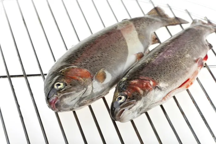 Framed Print : Two Rainbow Trout on the Grill Print Framed Print : Two Rainbow Trout on the Grill Print