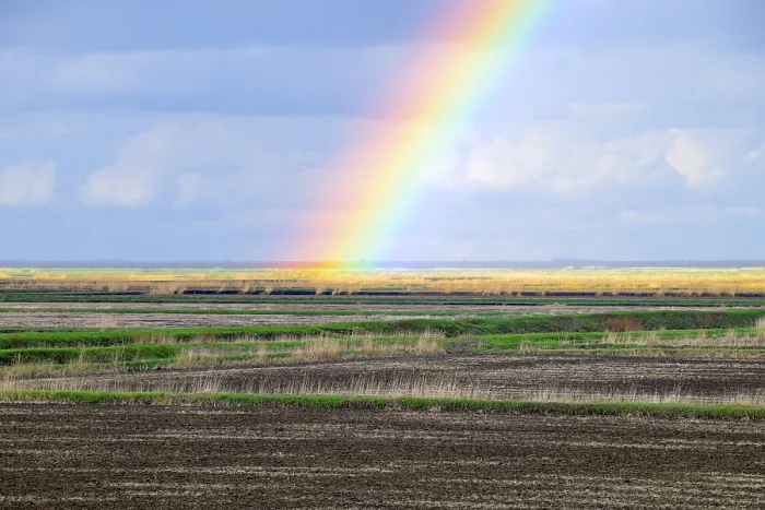 Framed Print : Rainbow Landscape Print: Refracted Light Spectra after Rain