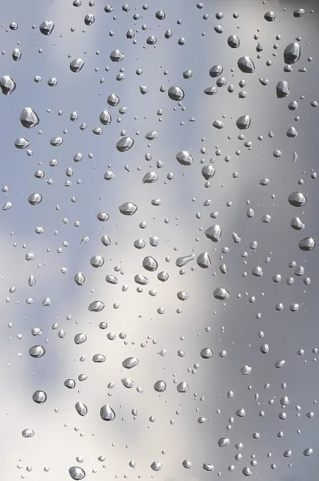 Framed Print : Raindrops, Germany Print Framed Print : Raindrops, Germany Print