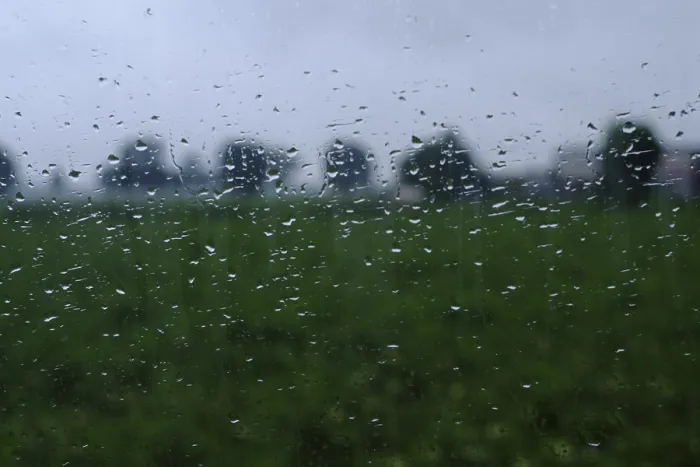 Framed Print : Raindrops on Window Print: Blurred Lush Landscape Framed Print : Raindrops on Window Print: Blurred Lush Landscape