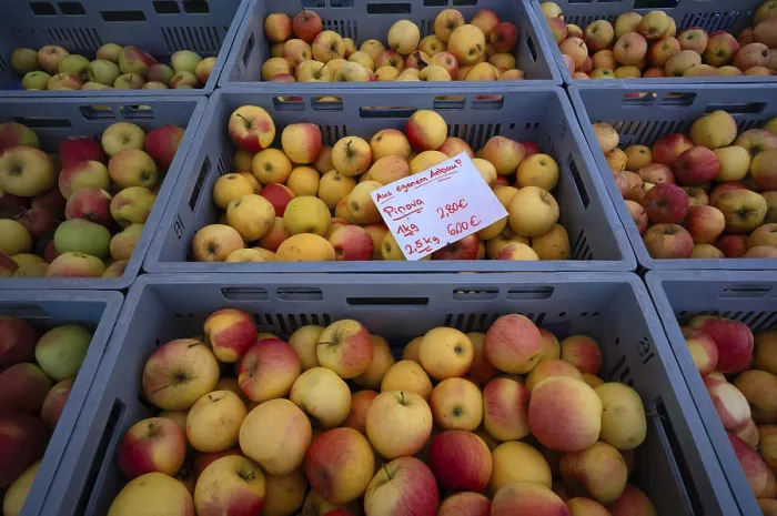 Framed Print : Range of Apples Print, Bad Cannstatt Market, Germany