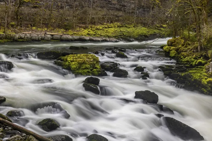 Framed Print : Rapids and bogs full of moss Print, Saut du Doubs, Neuchatel Framed Print : Rapids and bogs full of moss Print, Saut du Doubs, Neuchatel