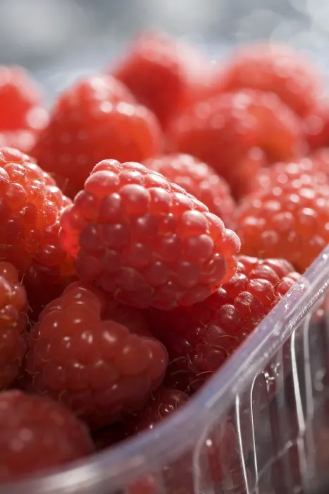 Framed Print : Raspberries Print by ImageBROKER Framed Print : Raspberries Print by ImageBROKER