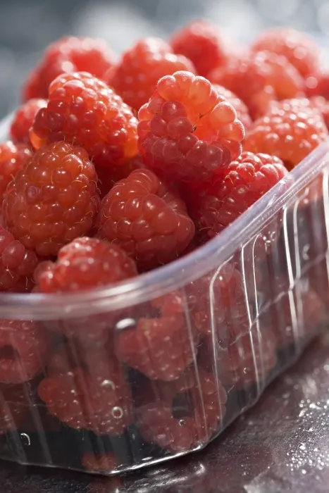 Framed Print : Raspberries Print by ImageBROKER Framed Print : Raspberries Print by ImageBROKER