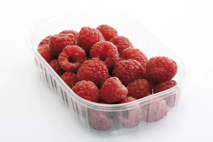 Framed Print : Raspberries in a Plastic Storage Container Print Framed Print : Raspberries in a Plastic Storage Container Print