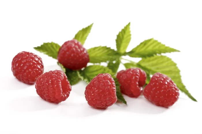 Framed Print : Raspberries with Leaves Print Framed Print : Raspberries with Leaves Print