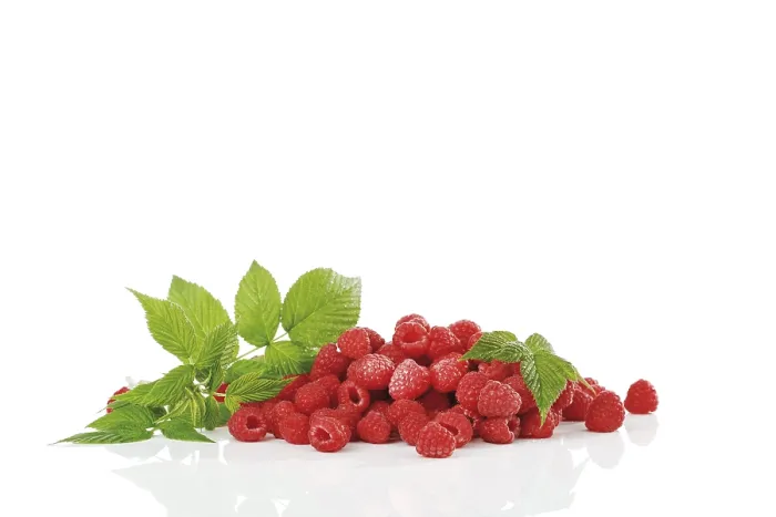 Framed Print : Raspberries with Raspberry Leaves Print Framed Print : Raspberries with Raspberry Leaves Print