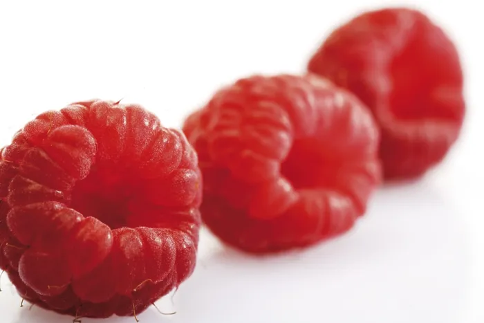 Framed Print : Three Raspberries in a Row Print Framed Print : Three Raspberries in a Row Print