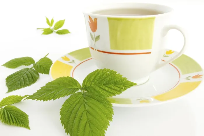 Framed Print : Raspberry Leaf Print on a Teacup Framed Print : Raspberry Leaf Print on a Teacup