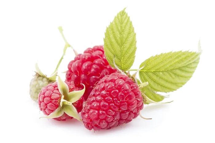 Framed Print : Raspberry Pill Print with Leaves on White Background Framed Print : Raspberry Pill Print with Leaves on White Background