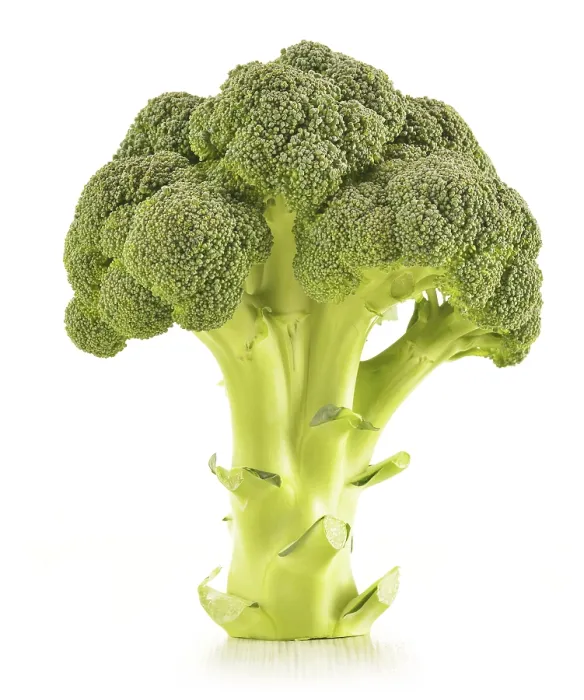 Framed Print : Raw Broccoli Print on White Background Framed Print : Raw Broccoli Print on White Background