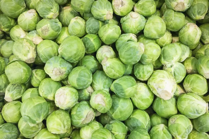 Framed Print : Raw Brussels Sprouts Print Framed Print : Raw Brussels Sprouts Print