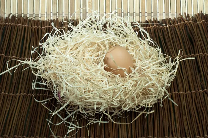 Framed Print : Three Raw Eggs in Straw Print Framed Print : Three Raw Eggs in Straw Print