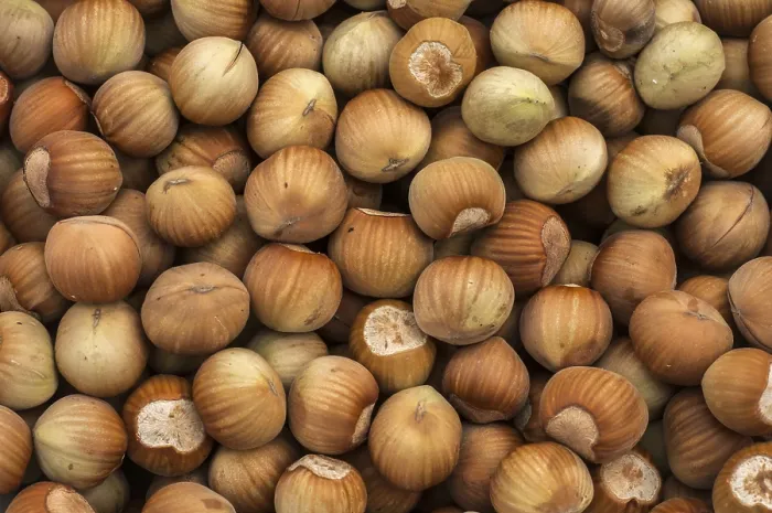 Framed Print : Raw Hazelnuts Print with Shell Closeup Background