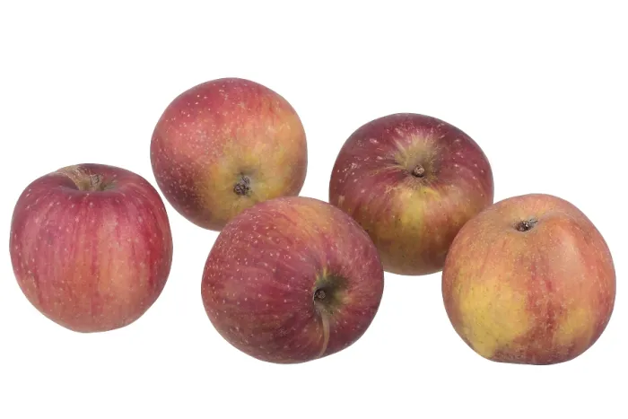 Framed Print : Red Apple Print - Eiserapfel Still Life