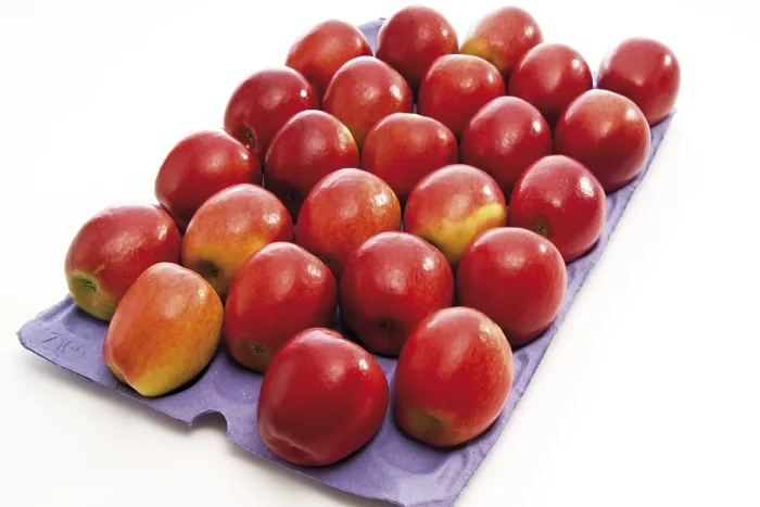 Framed Print : Red Apples Print by imageBROKER Framed Print : Red Apples Print by imageBROKER