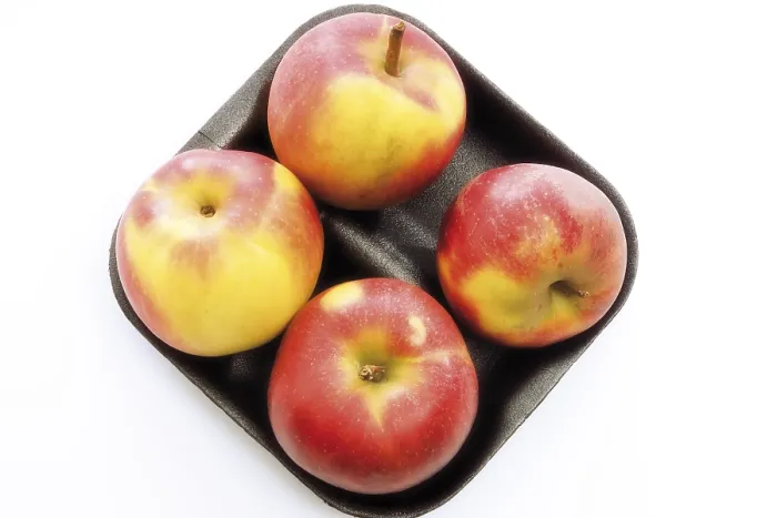 Framed Print : Red Apples in Plastic Tray Packaging Print Framed Print : Red Apples in Plastic Tray Packaging Print