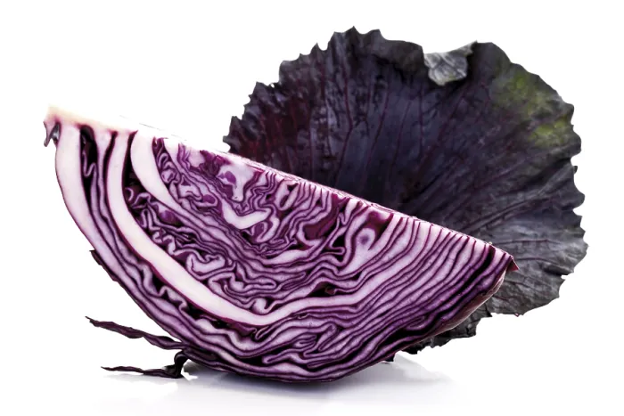 Framed Print : Red Cabbage Print - Quarter View Framed Print : Red Cabbage Print - Quarter View