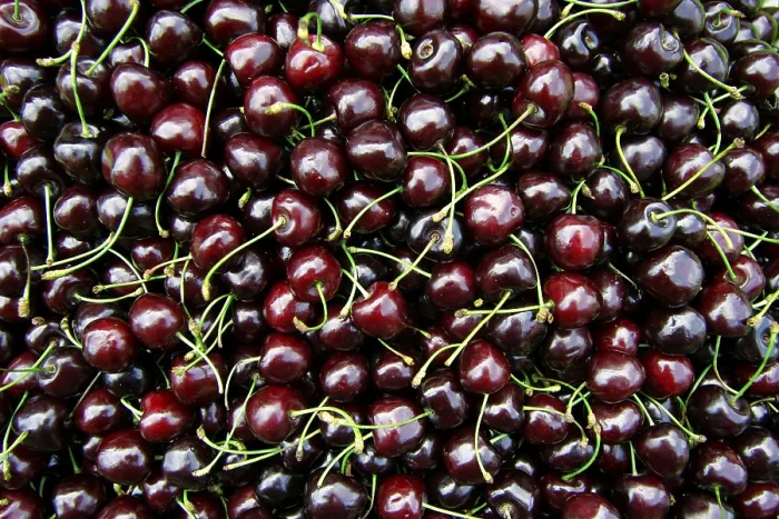 Framed Print : Red Cherries Print - A Fruitful Still Life Framed Print : Red Cherries Print - A Fruitful Still Life