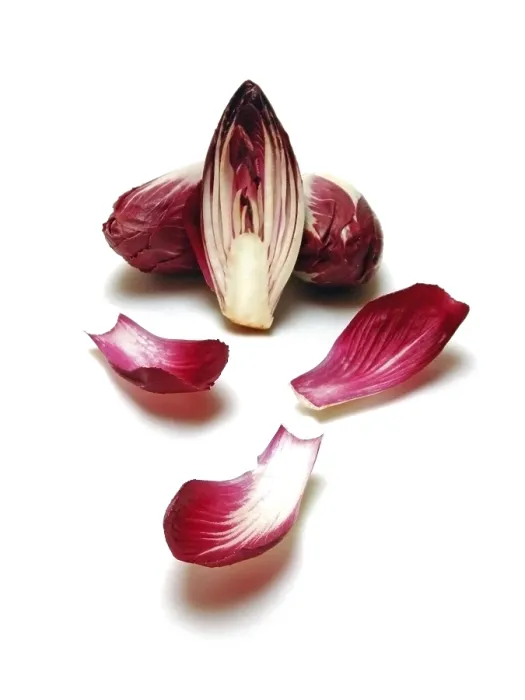 Framed Print : Three Red Chicory Print Framed Print : Three Red Chicory Print