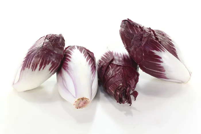 Framed Print : Four Red Chicory Salads Print Framed Print : Four Red Chicory Salads Print